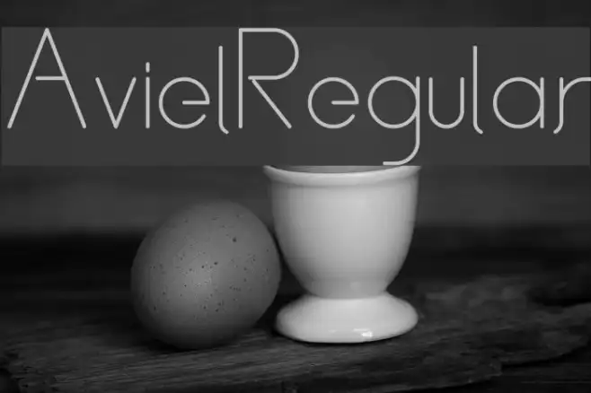 Aviel Regular Example 2