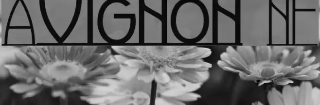 Avignon NF Font examples