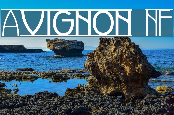 Avignon NF Fonte examples