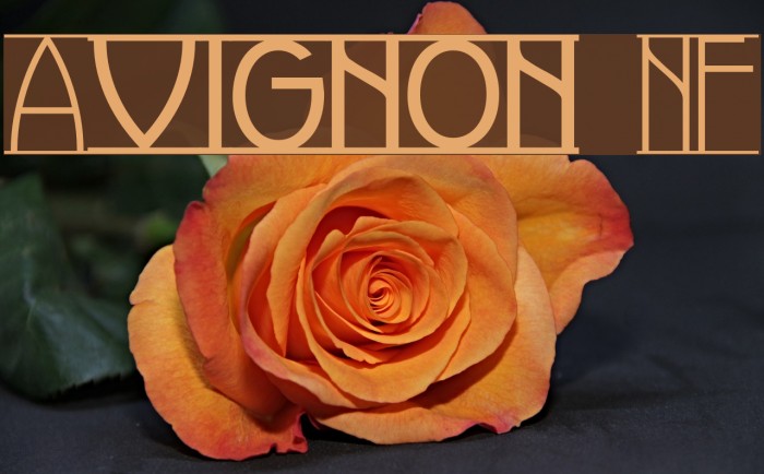 Avignon NF Fonte examples