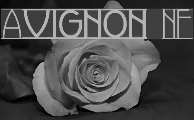Avignon NF Font examples