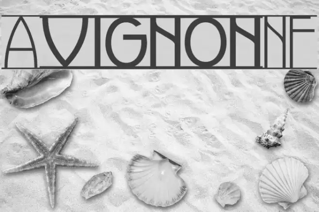 AvignonNF Example 2