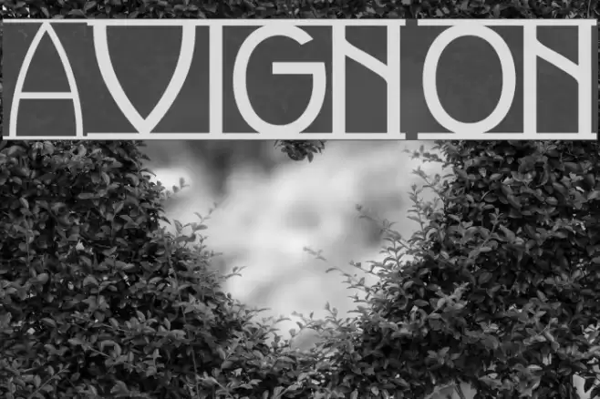 Avignon Font examples