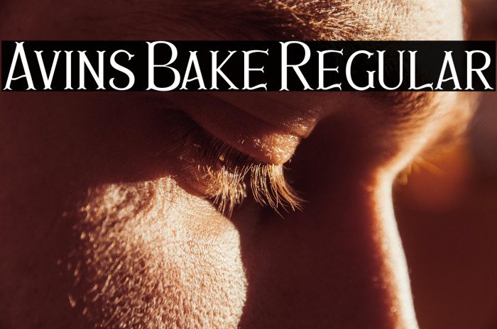Avins Bake Regular Example 2
