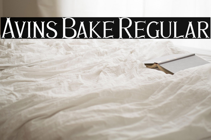 Avins Bake Regular Example 3