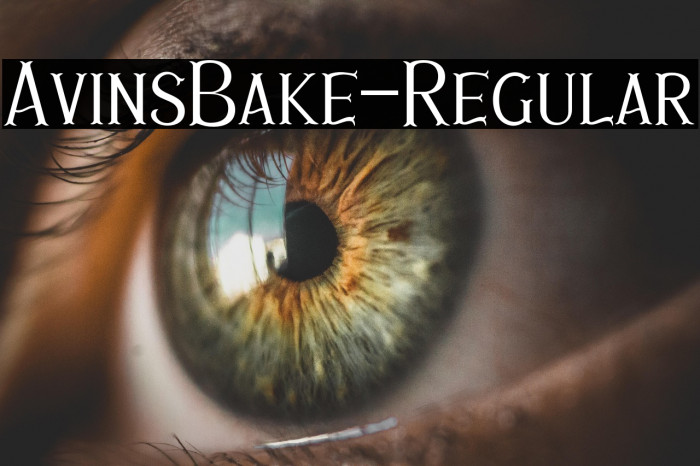 AvinsBake-Regular Example 1