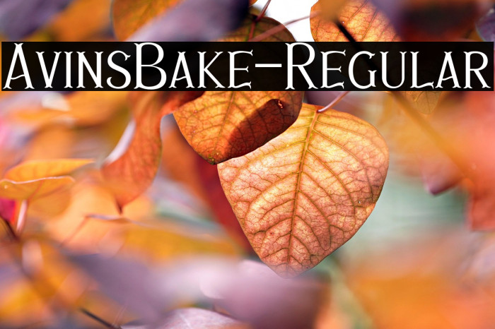 AvinsBake-Regular Example 3