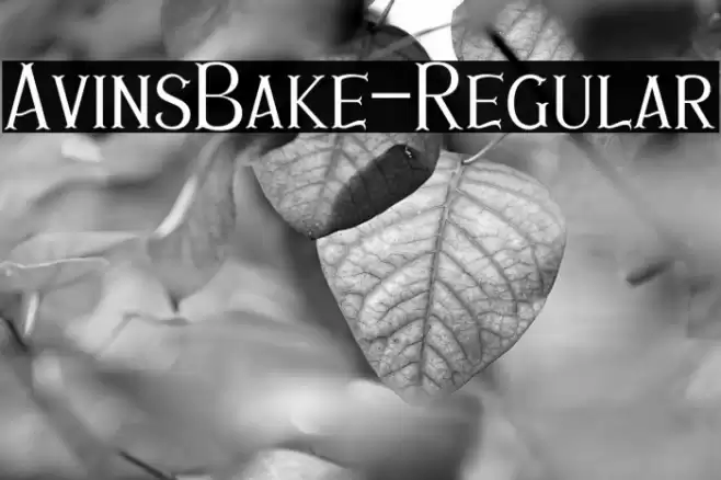 AvinsBake-Regular Font examples