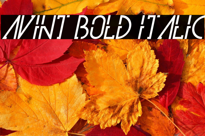 Avint Bold Italic Example 1