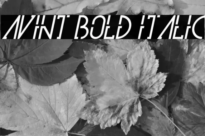 Avint Bold Italic Example 1