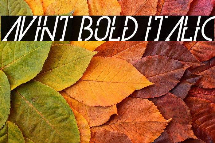 Avint Bold Italic Example 3