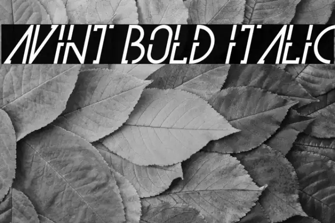 Avint Bold Italic Example 3