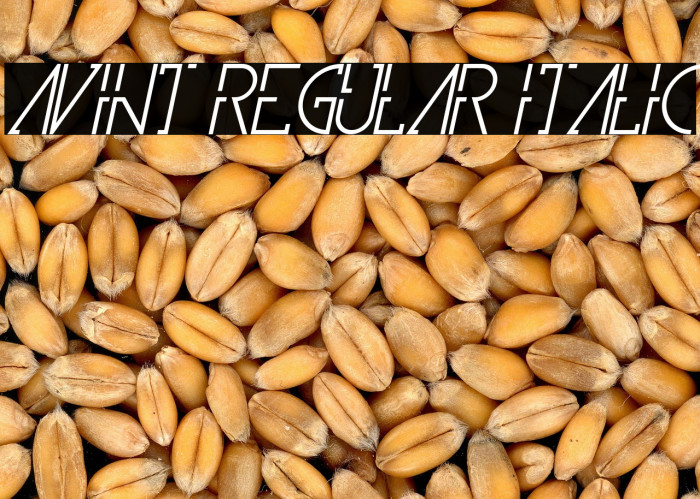 Avint Regular Italic Example 2