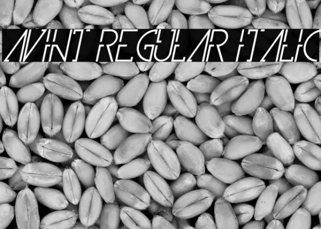Avint Regular Italic Example 2