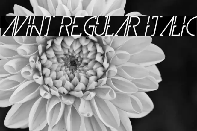 Avint Regular Italic Example 3