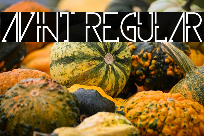 Avint Regular Example 2