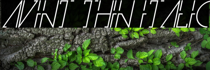 Avint Thin Italic Example 1