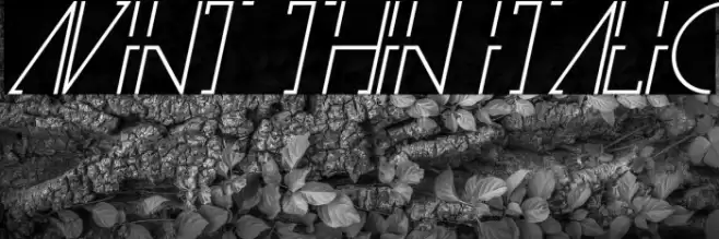 Avint Thin Italic Font examples