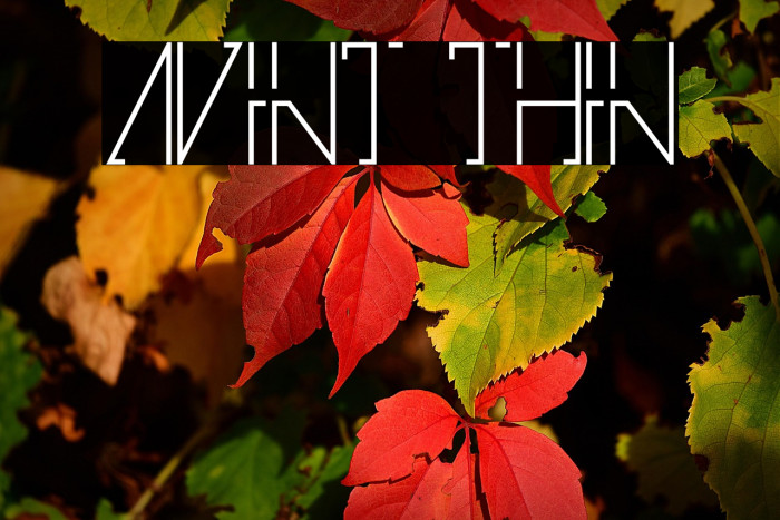 Avint Thin Example 3