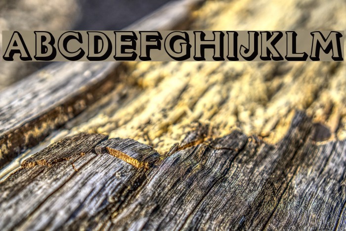 Avion Font examples