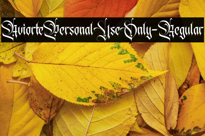 AviortePersonalUseOnly-Regular Example 3