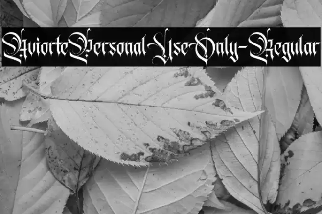 AviortePersonalUseOnly-Regular Font examples