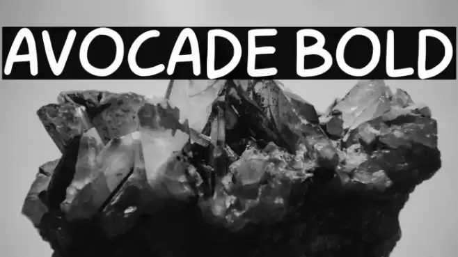 Avocade Bold Шрифта examples