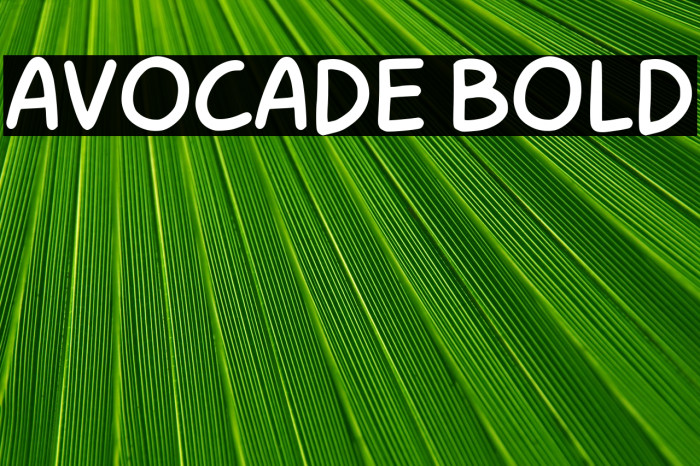 Avocade Bold Example 2