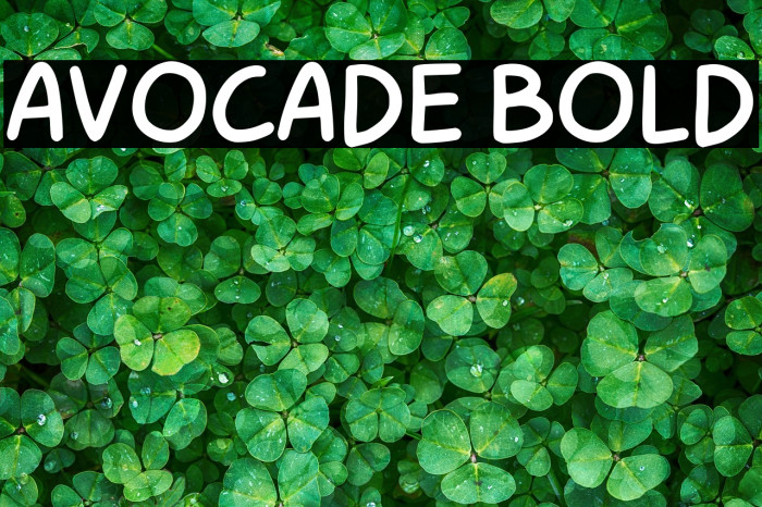Avocade Bold Example 3