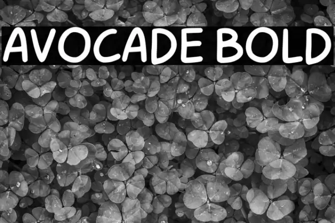 Avocade Bold Шрифта examples