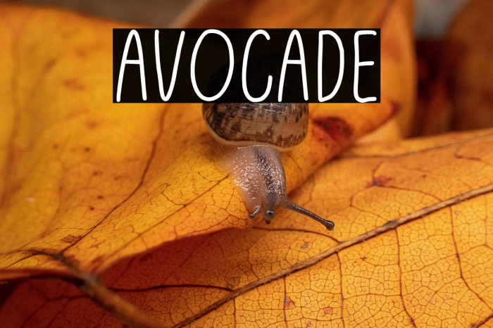 Avocade Example 1
