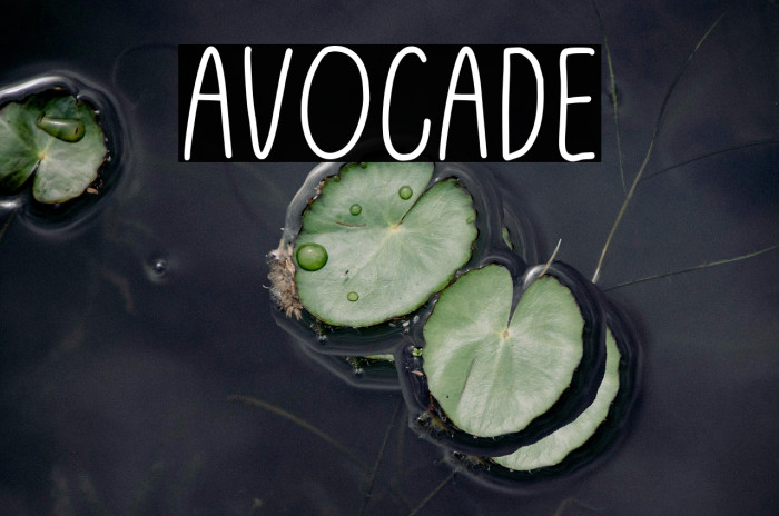 Avocade Example 2