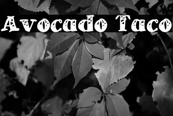 Avocado Taco Font examples
