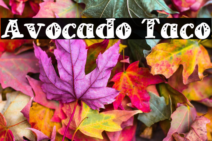 Avocado Taco Example 2