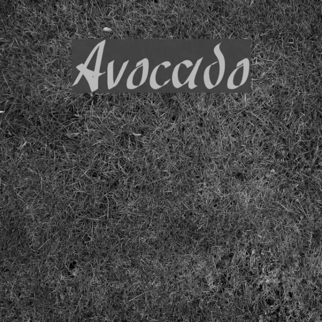 Avocado Font examples