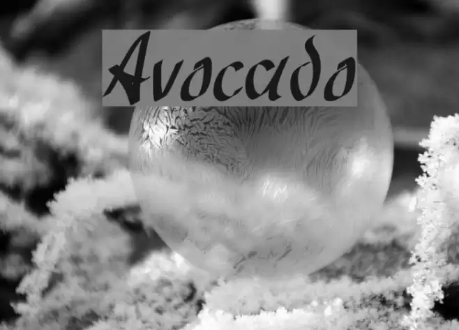 Avocado Font examples