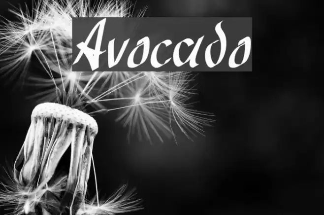 Avocado Font examples