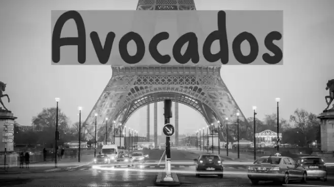 Avocados Font examples
