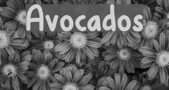 Avocados Font examples