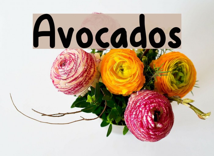 Avocados Font examples