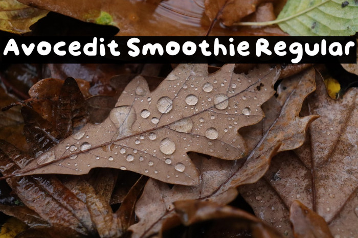Avocedit Smoothie Regular Example 1