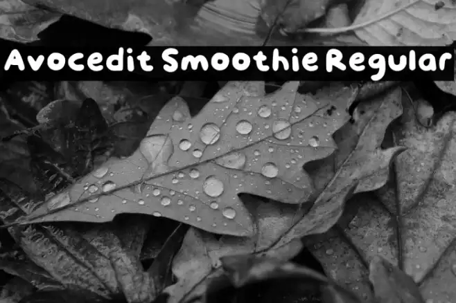 Avocedit Smoothie Regular Example 1