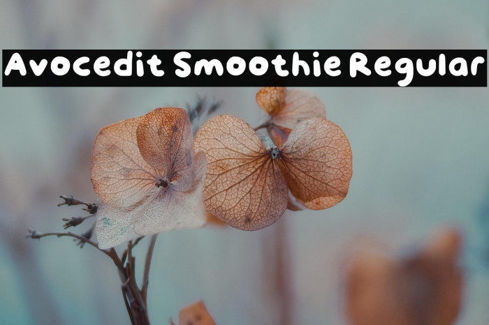 Avocedit Smoothie Regular Example 2
