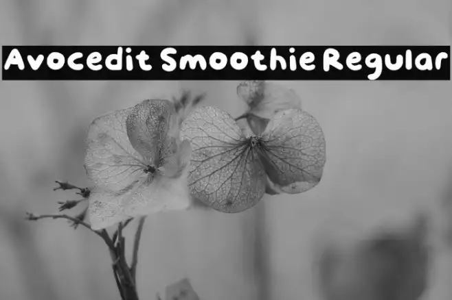 Avocedit Smoothie Regular Example 2