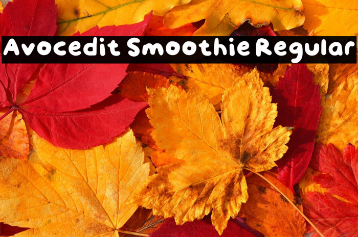 Avocedit Smoothie Regular Example 3