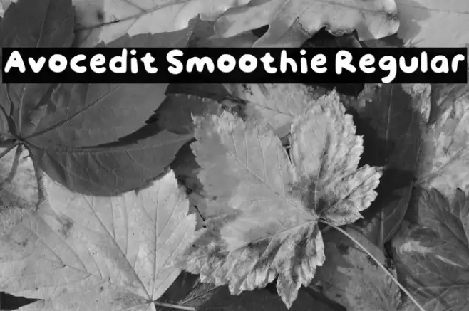 Avocedit Smoothie Regular Example 3