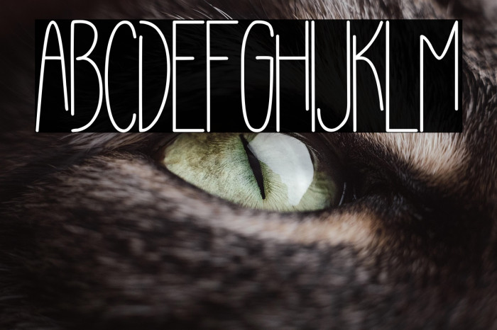 Avoid Light Example 2