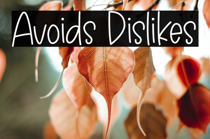 Avoids Dislikes Example 3