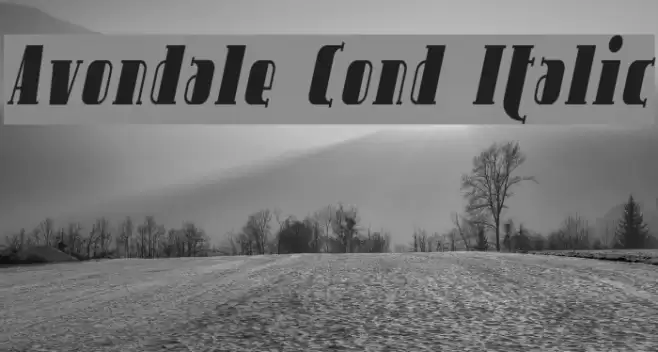 Avondale Cond Italic Font examples