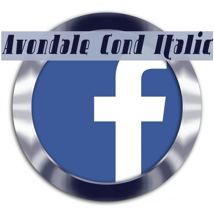 Avondale Cond Italic Font examples